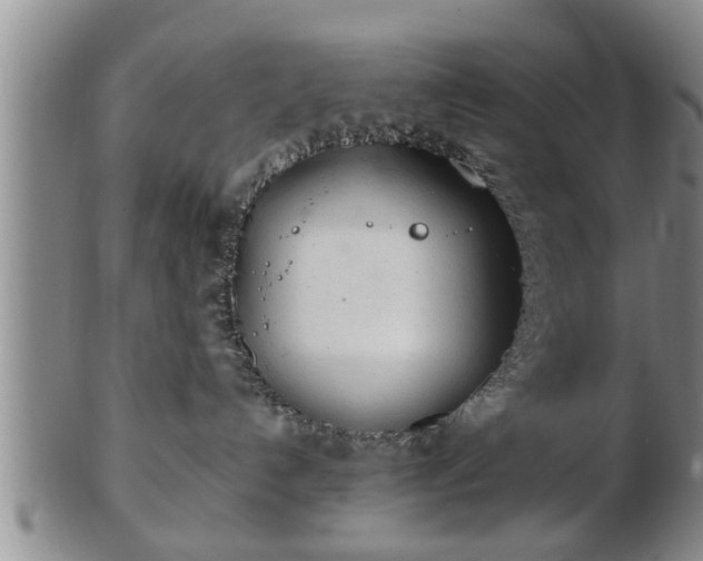 X0000103220192200809041011