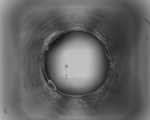 X0000103220193200809041010