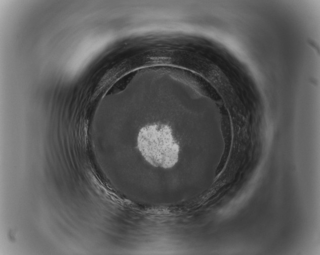 X0000103220194200809041010