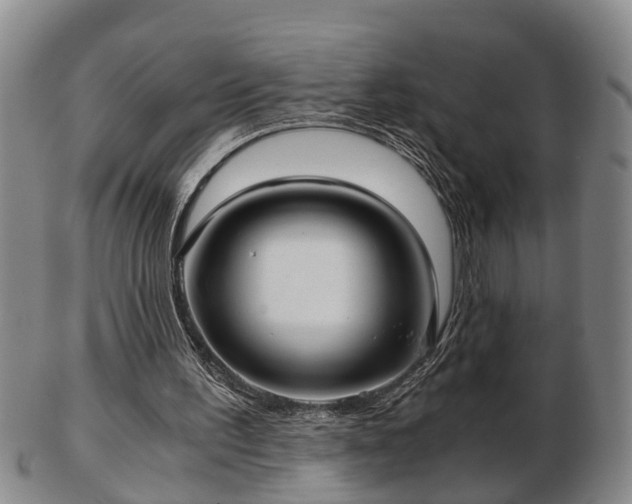 X0000103220195200809041010