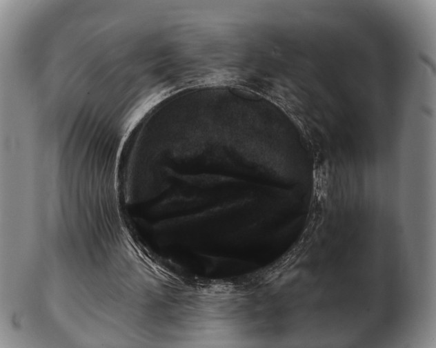 X0000103220196200809041010