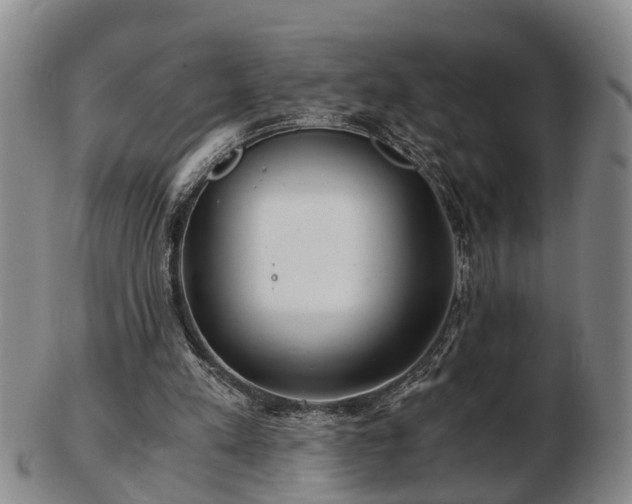 X0000103220197200809041010