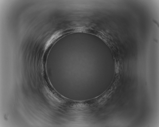 X0000103220198200809041010