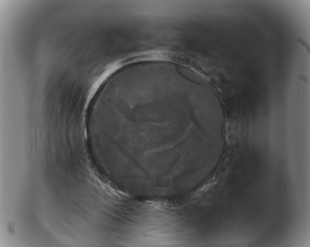 X0000103220200200809041010