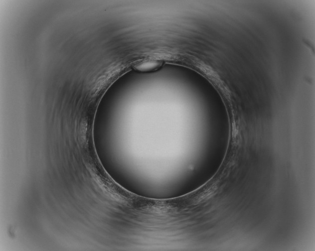 X0000103220201200809041010