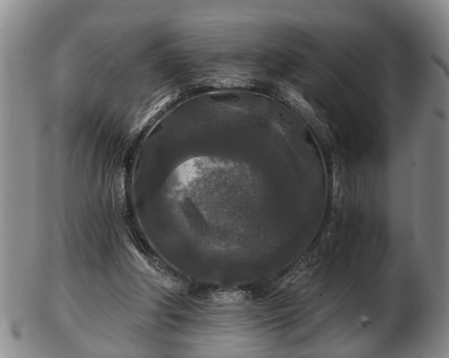 X0000103220202200809041010