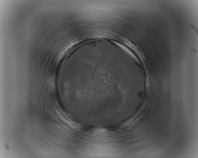 X0000103220203200809041010