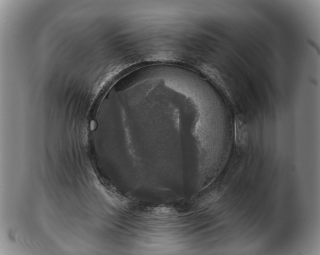 X0000103220204200809041010