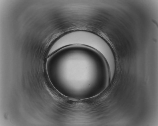 X0000103220205200809041010