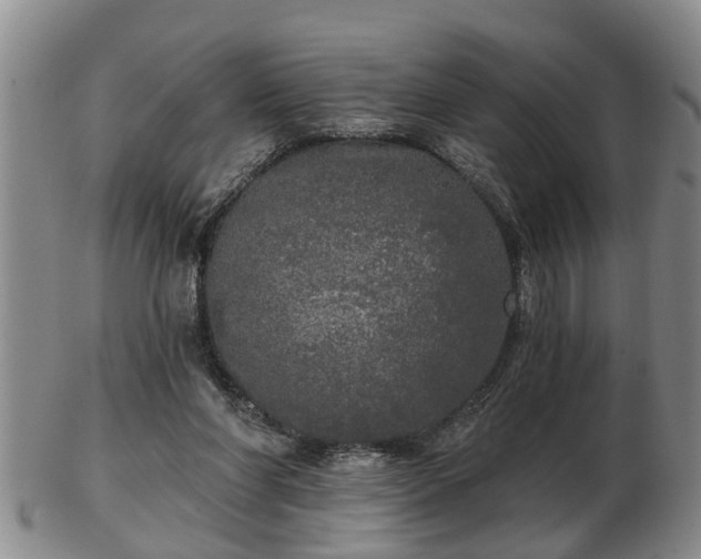 X0000103220206200809041010