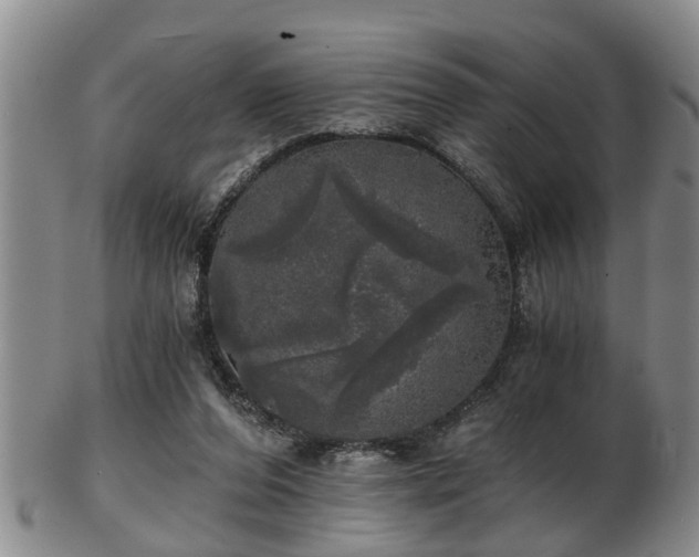 X0000103220208200809041010