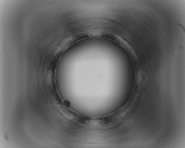 X0000103220209200809041010