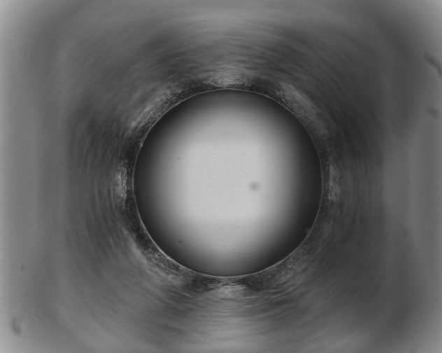 X0000103220210200809041010