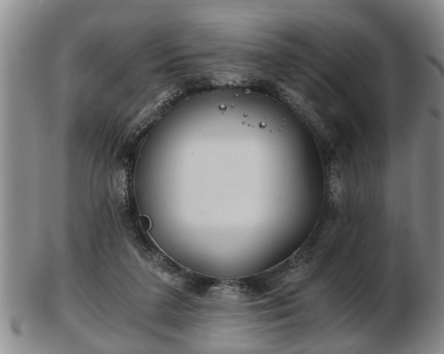 X0000103220211200809041010