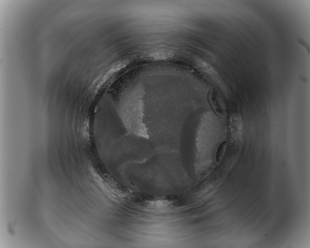 X0000103220212200809041010