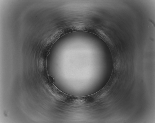 X0000103220213200809041010