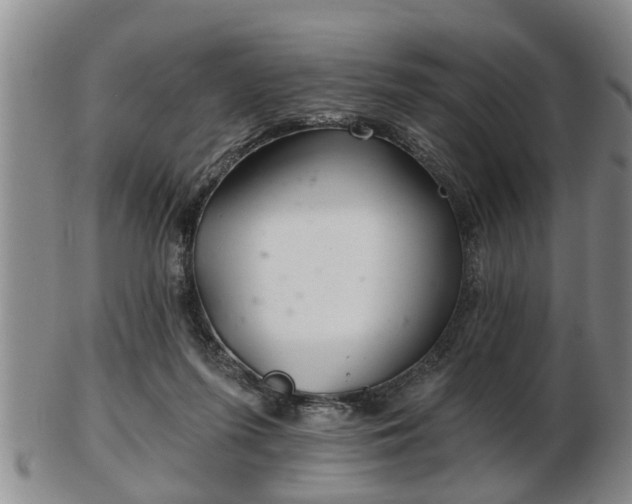 X0000103220215200809041010