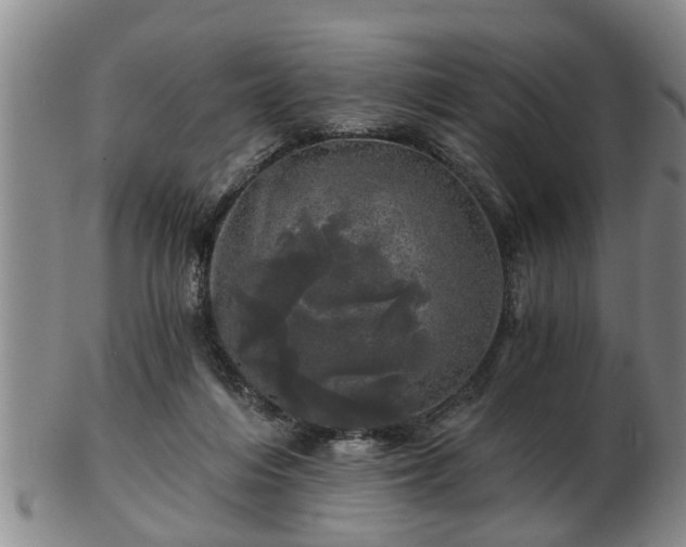 X0000103220216200809041010