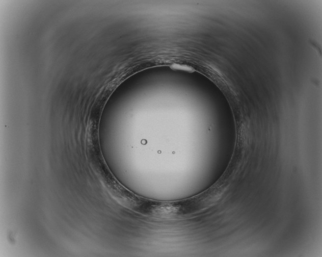 X0000103220217200809041010