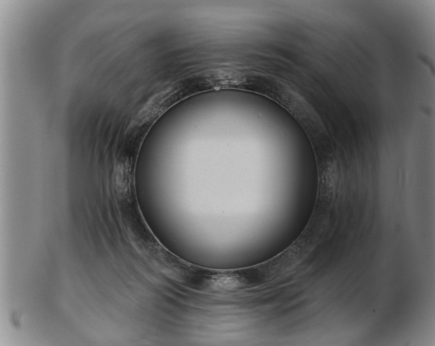 X0000103220218200809041010