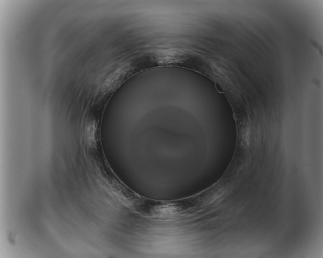 X0000103220219200809041010