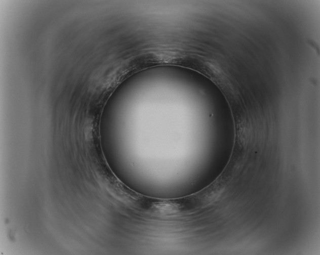 X0000103220221200809041010