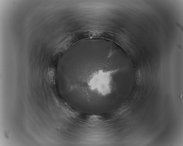 X0000103220222200809041010