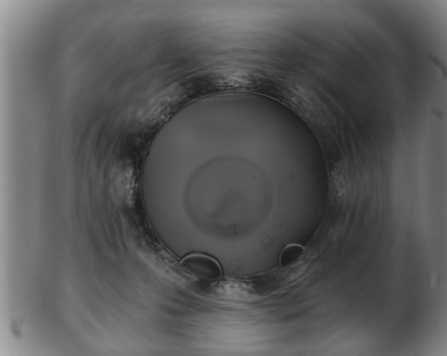 X0000103220223200809041010