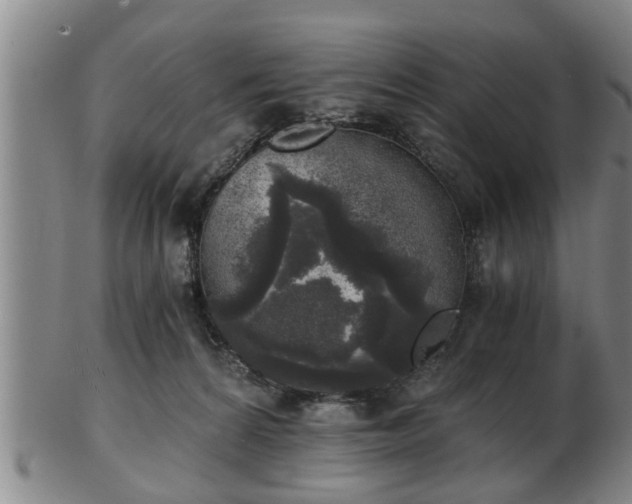 X0000103220224200809041009