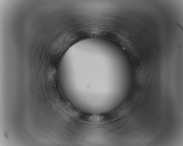 X0000103220225200809041009