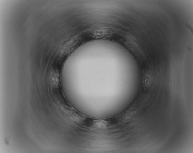 X0000103220226200809041009