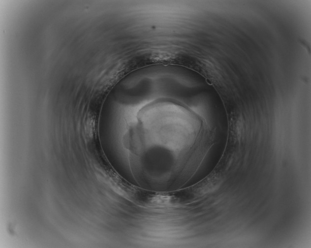 X0000103220227200809041009