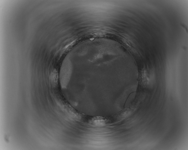 X0000103220228200809041009