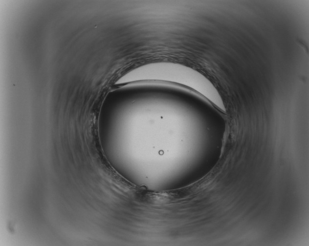 X0000103220229200809041009