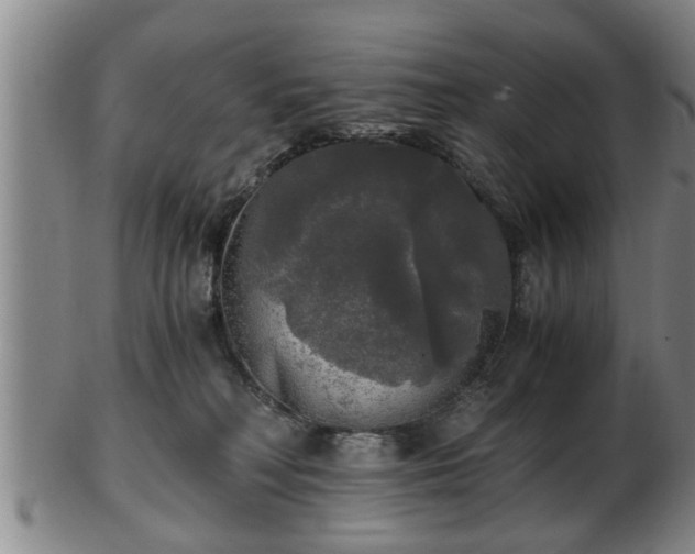 X0000103220230200809041009