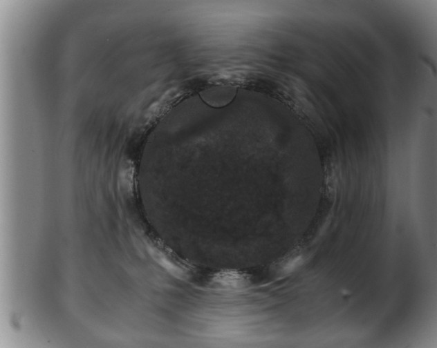 X0000103220231200809041009