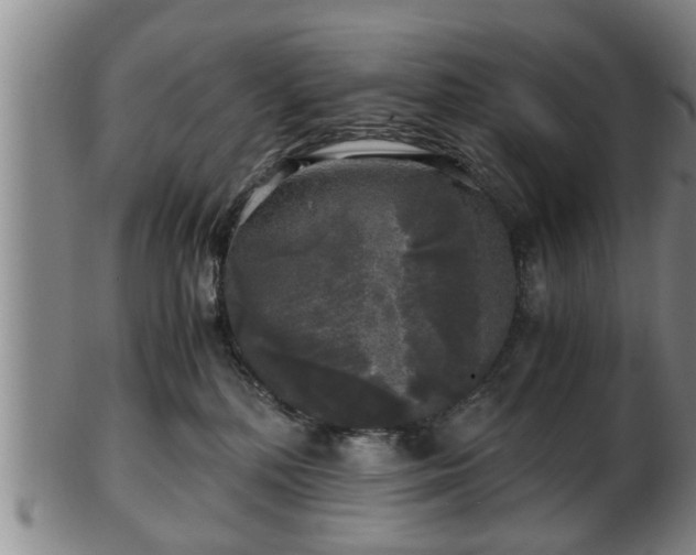 X0000103220232200809041009