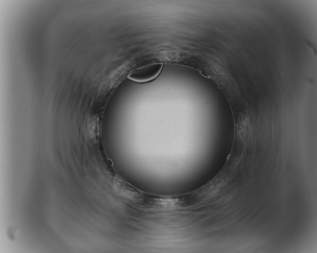 X0000103220233200809041009