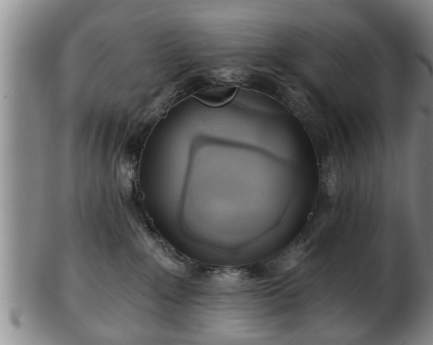 X0000103220235200809041009