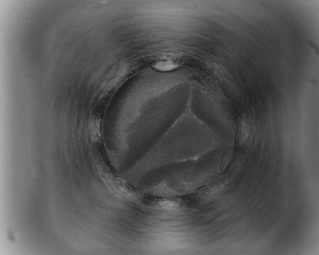 X0000103220236200809041009