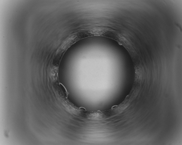 X0000103220237200809041009