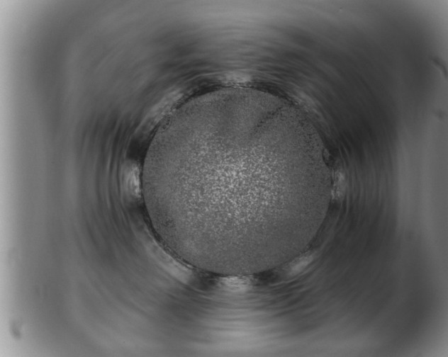 X0000103220238200809041009