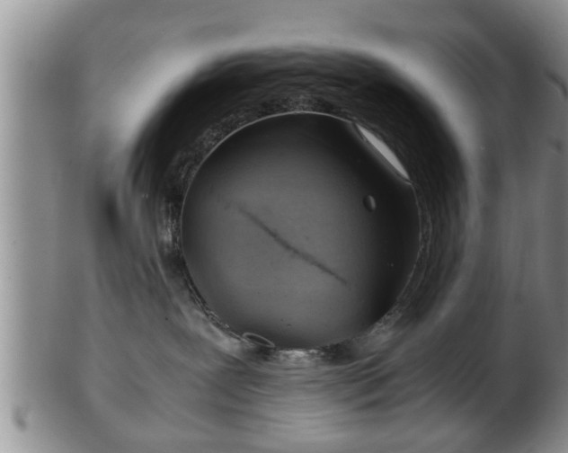 X0000103220239200809041009