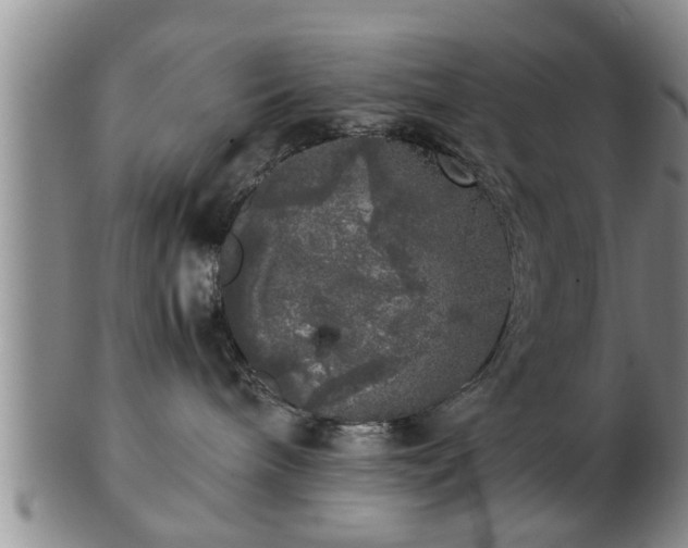 X0000103220240200809041009