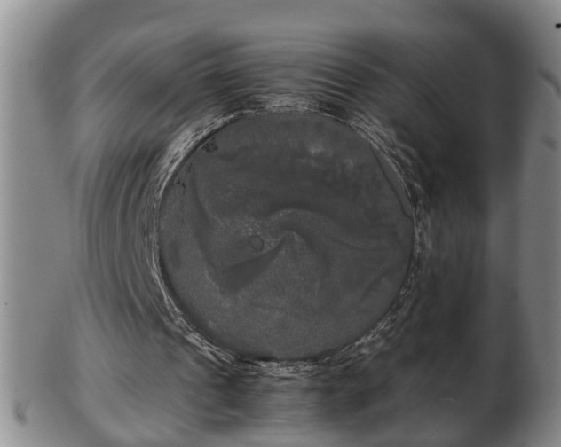 X0000103220241200809041008