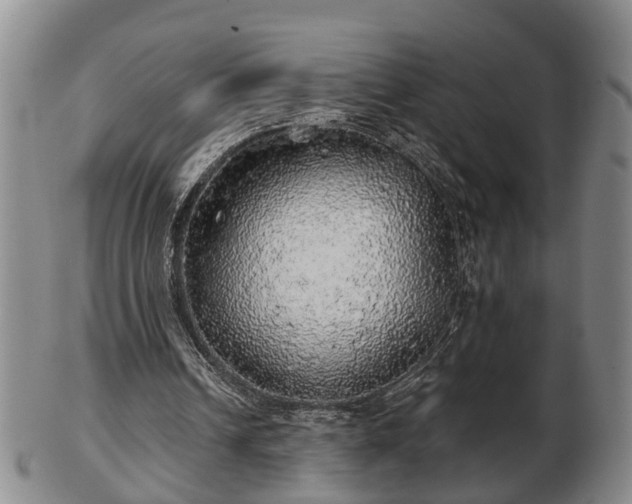 X0000103220242200809041008