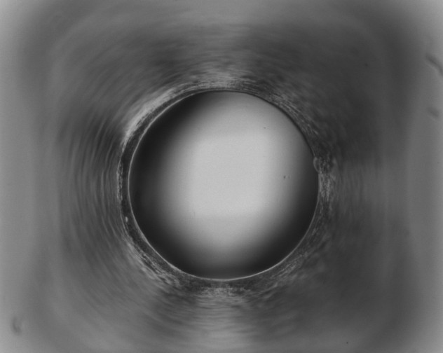 X0000103220244200809041008