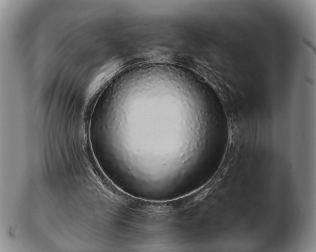 X0000103220245200809041008