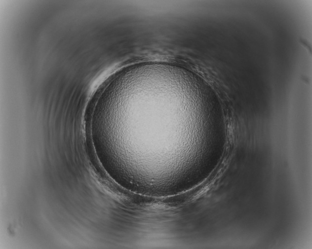 X0000103220246200809041009