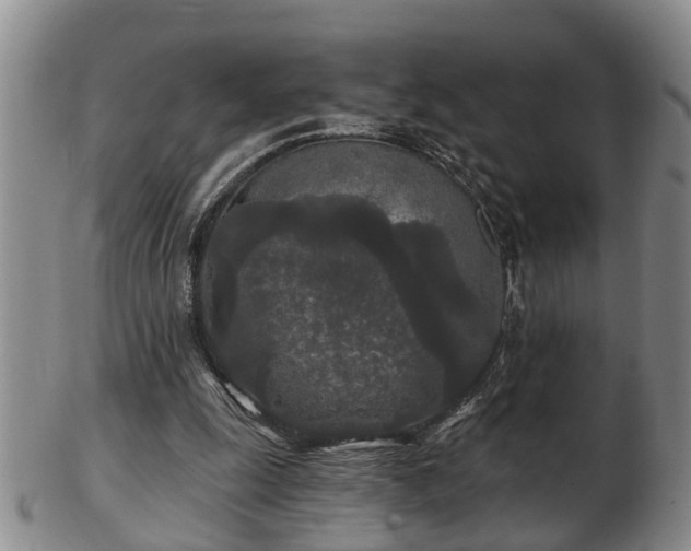 X0000103220247200809041009